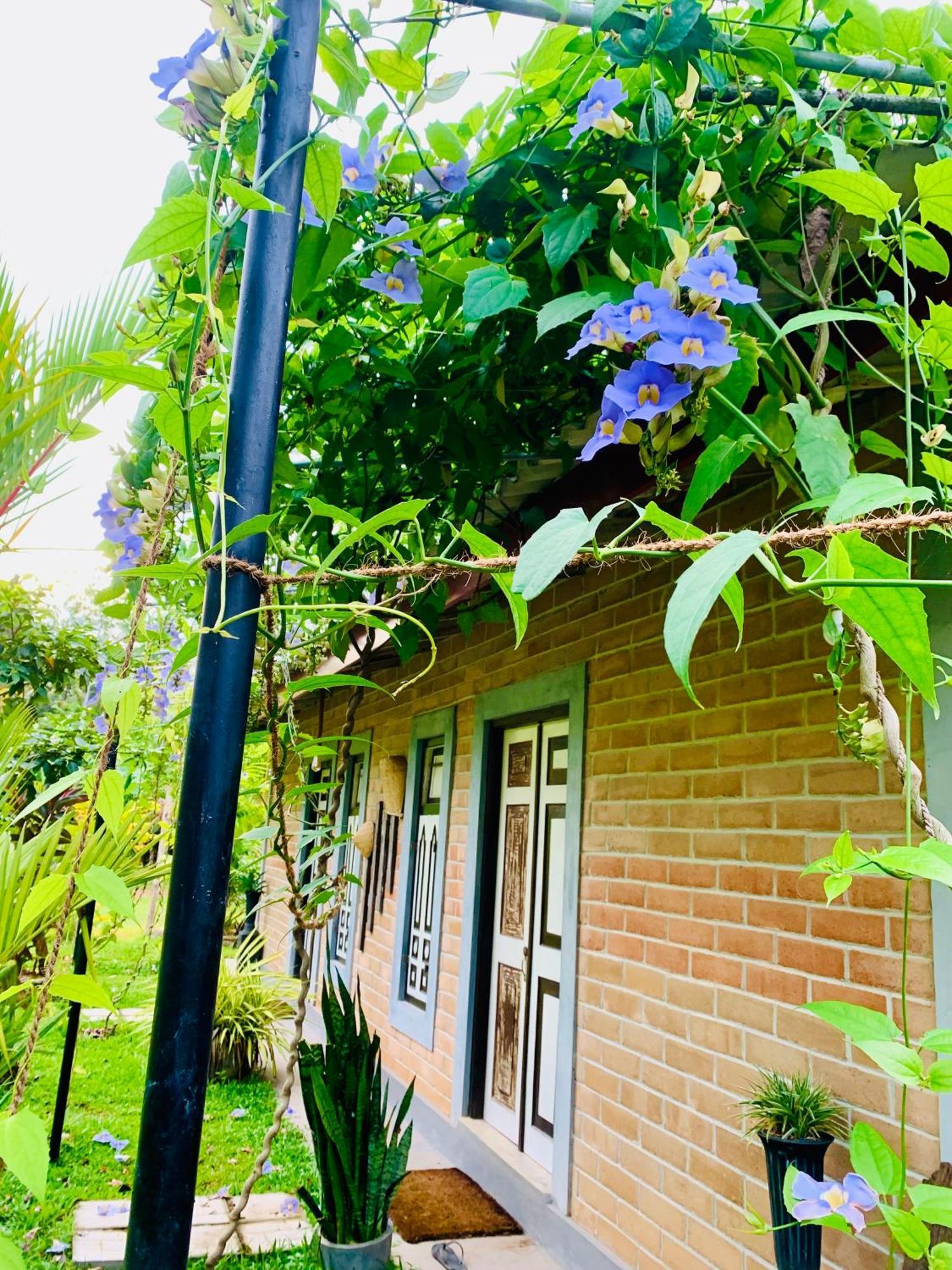 Ashok Villa Weligama Zewnętrze zdjęcie