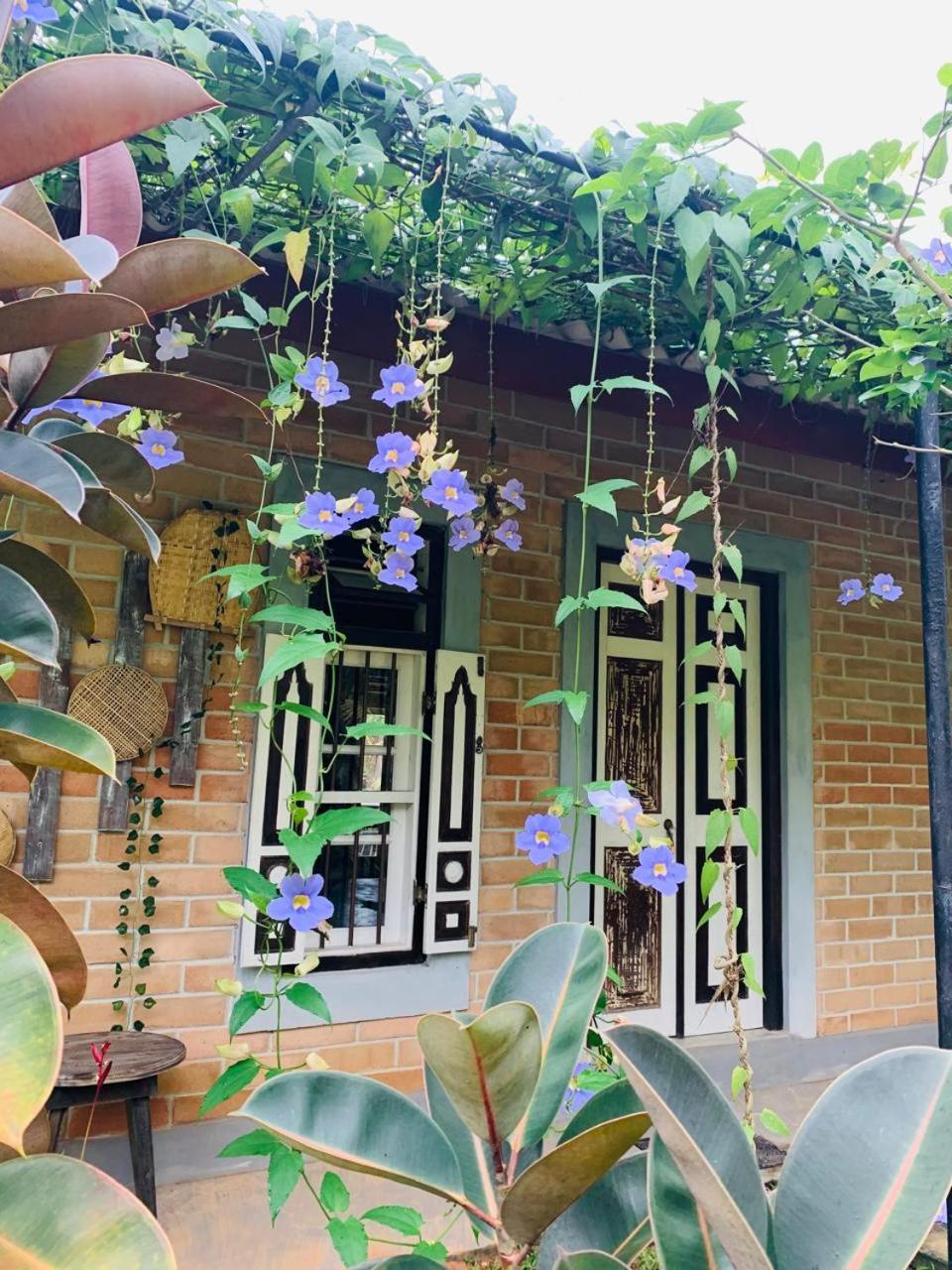 Ashok Villa Weligama Zewnętrze zdjęcie