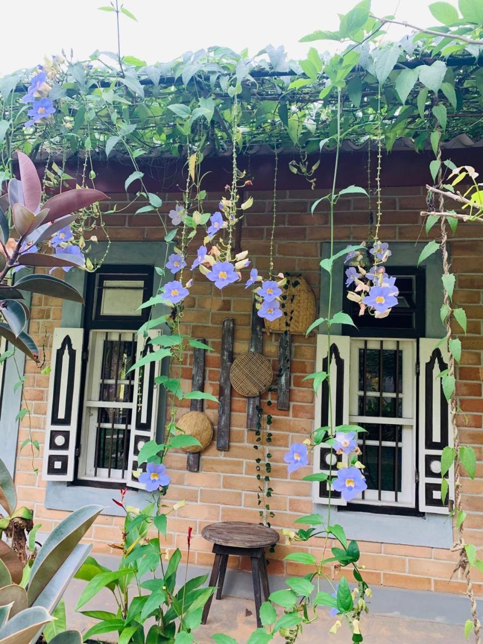 Ashok Villa Weligama Zewnętrze zdjęcie